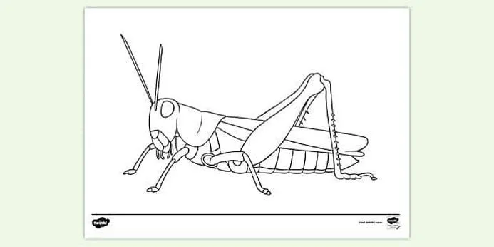 Odkryj sekret idealnego drinka Grasshopper – prosty przepis na radość w szklance