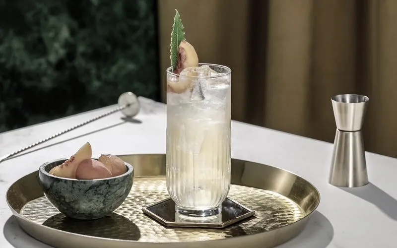 Odkryj sekrety idealnego drinka highball – historia i niepowtarzalne warianty