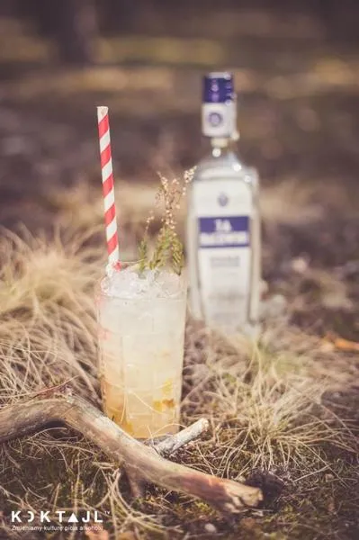 Składniki do drinków
