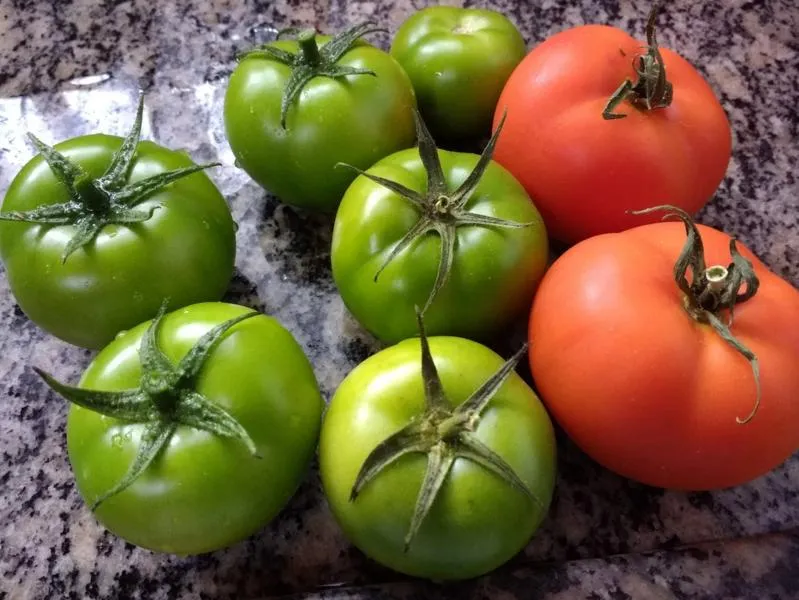 Zdrowa dieta