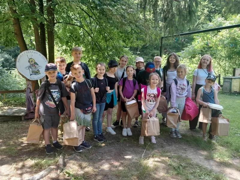 Zupa ogórkowa inspiracje smakowe